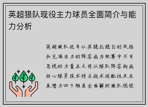 英超狼队现役主力球员全面简介与能力分析